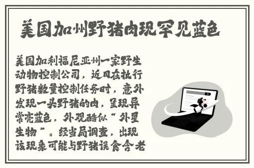 色狼岛导航
